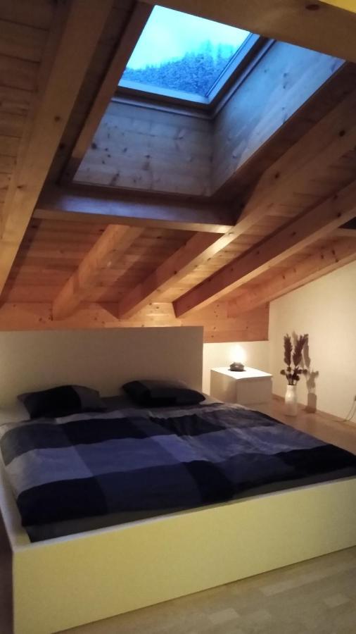 Apartment Hohenwerfen Exterior photo